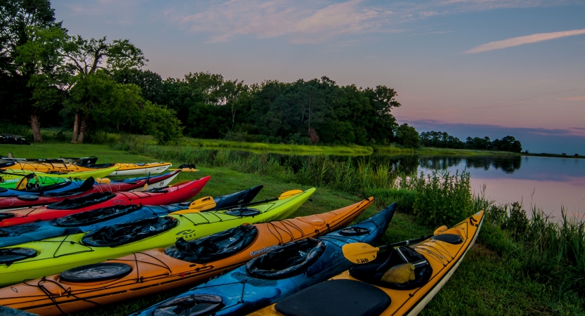 Colorful kayaks rest on a grassy shore beside calm water. 